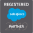 2019 Salesforce Registered Partner